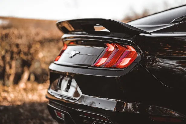 1Bet Casino Android/iOS App